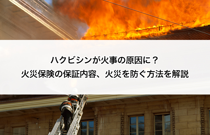 ハクビシンが火事の原因に？火災保険の保証内容、火災を防ぐ方法