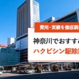 【神奈川】ハクビシン駆除おすすめ業者の安いランキング | 費用・実績を徹底比較