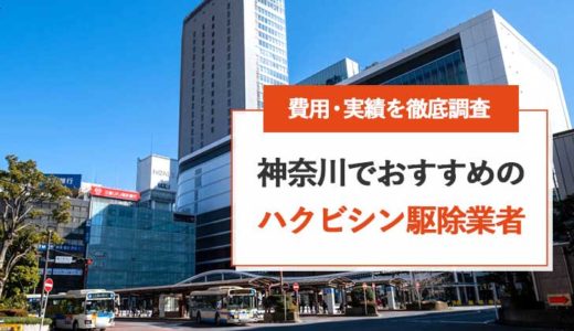 【神奈川】ハクビシン駆除おすすめ業者の安いランキング | 費用・実績を徹底比較