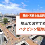 【埼玉】ハクビシン駆除おすすめ業者の安いランキング | 費用・実績を徹底比較