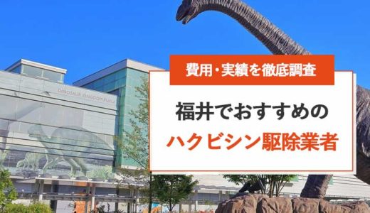 【福井】ハクビシン駆除おすすめ業者の安いランキング | 費用・実績を徹底比較